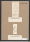 Navicula quadriseriata Cl. et. Gr. (de-Toni-Nr.: Genus 1, Species 649) Zeichnungen Sammlung Grunow Nr. 1241 (NHMW-BOT-W0367874)